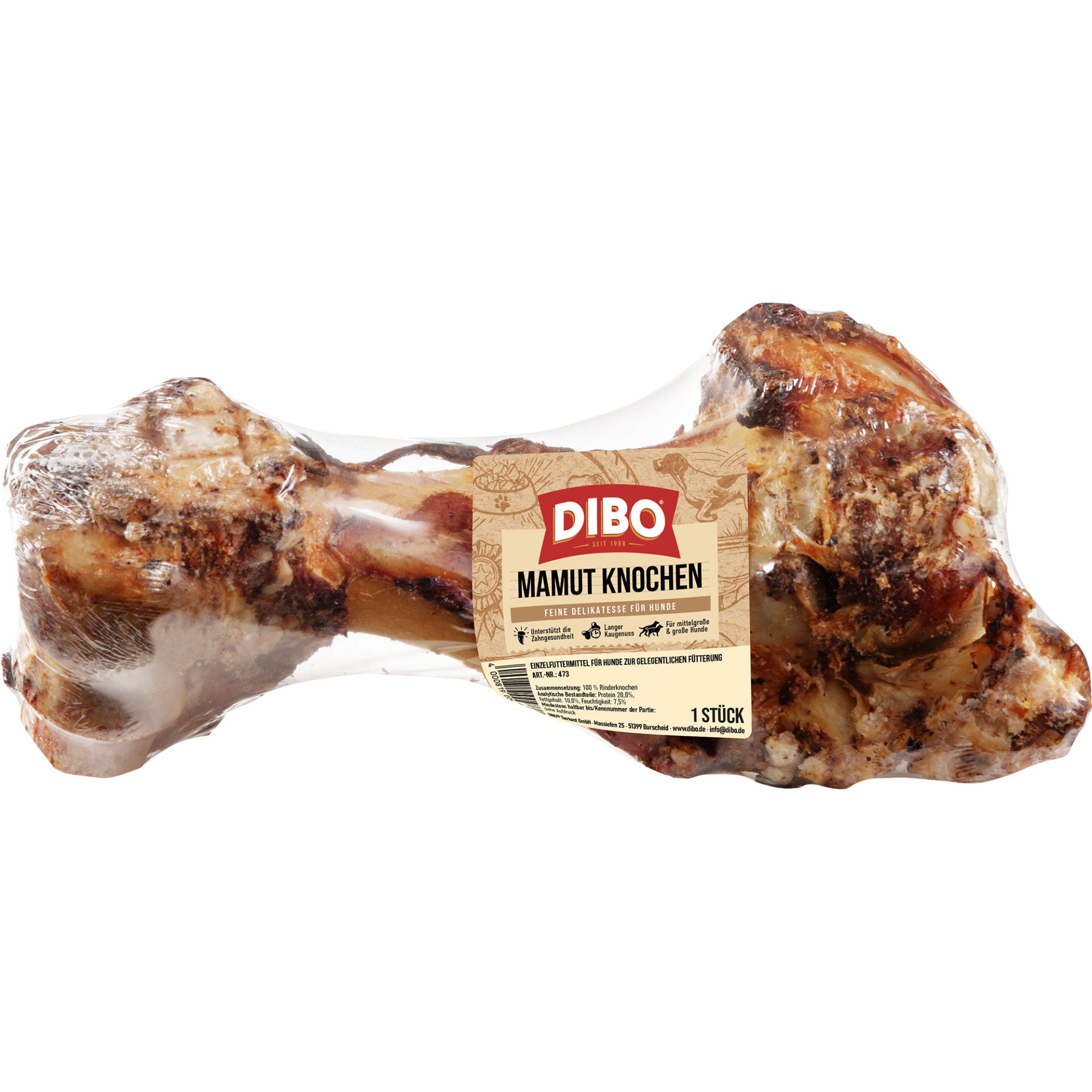 Dibo Mamutknochen, 1 Stück