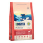 Bozita Purley Adult Large Lachs & Rind 2,5kg