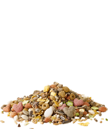 Crispy Muesli Hamster, offen
