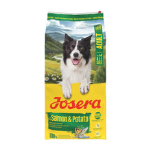 Josera A/S Adult Salmon &amp; Potato 12,5kg