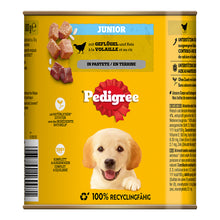 Pedigree Classic Junior Geflügel &amp; Reis in Pastete 800g