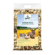 Speers Hoff Überstreu Birkenblätter 1kg
