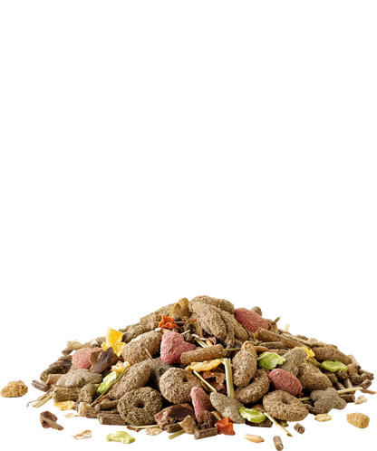 Versele-Laga Crispy Muesli Kaninchen offen