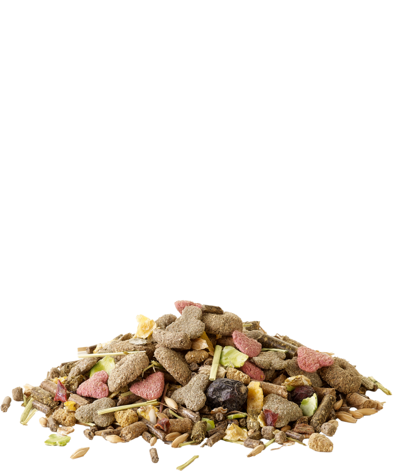 Versele-Laga Crispy Muesli Meerschweinchen offen