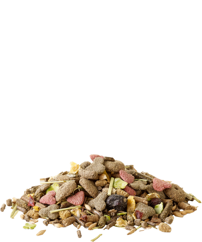 Versele-Laga Crispy Muesli Meerschweinchen offen