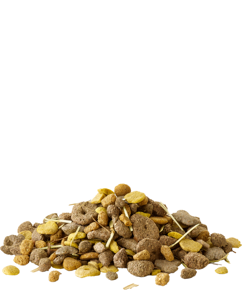 Versele-Laga Crispy Snack Fibres offen