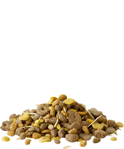 Versele-Laga Crispy Snack Fibres offen