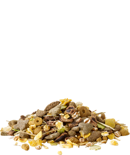 Versele-Laga Crispy Snack Popcorn offen
