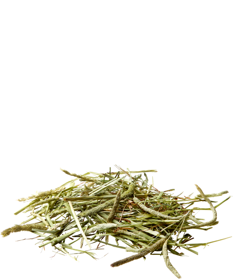 Versele-Laga Nature Timothy Hay, offen