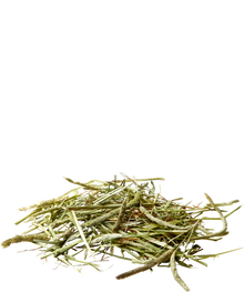 Versele-Laga Nature Timothy Hay, offen