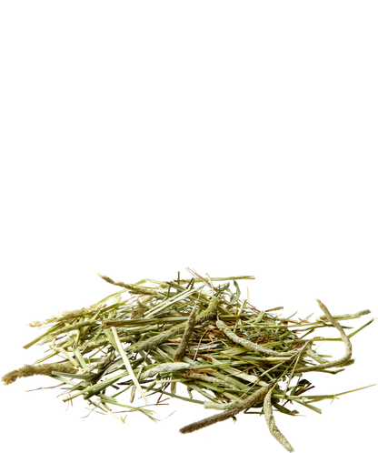 Versele-Laga Nature Timothy Hay, offen