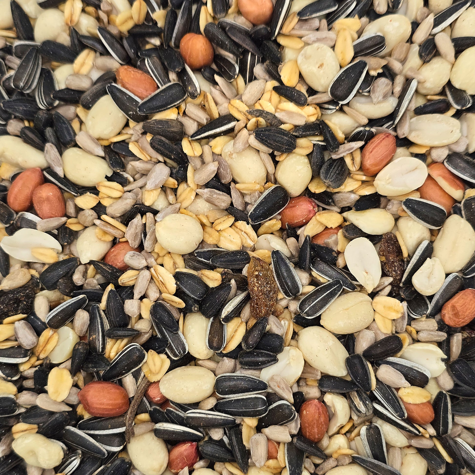 Vobina Wildvogelfutter Ganzjahresfutter 20kg
