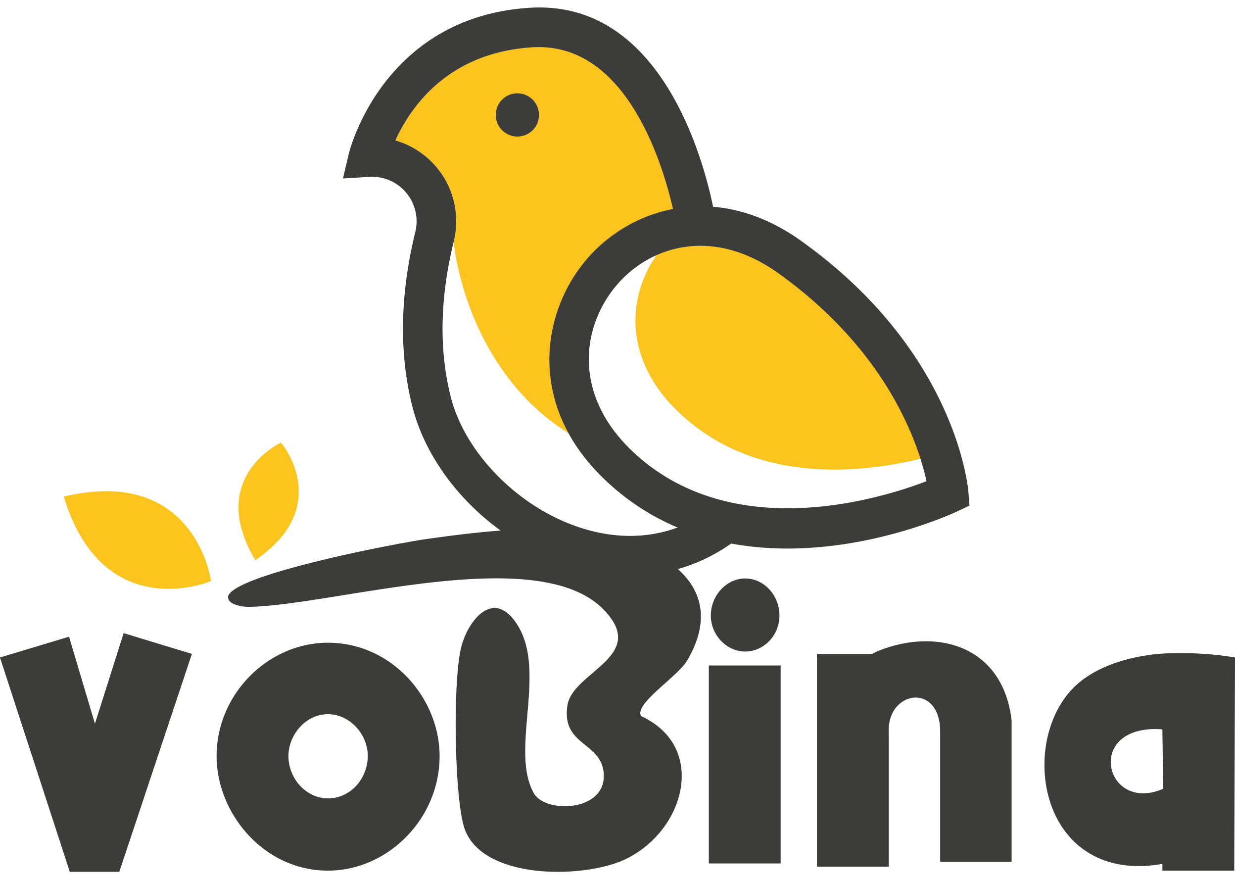 Vobina Wildvogelfutter